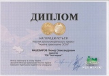 Достижения
